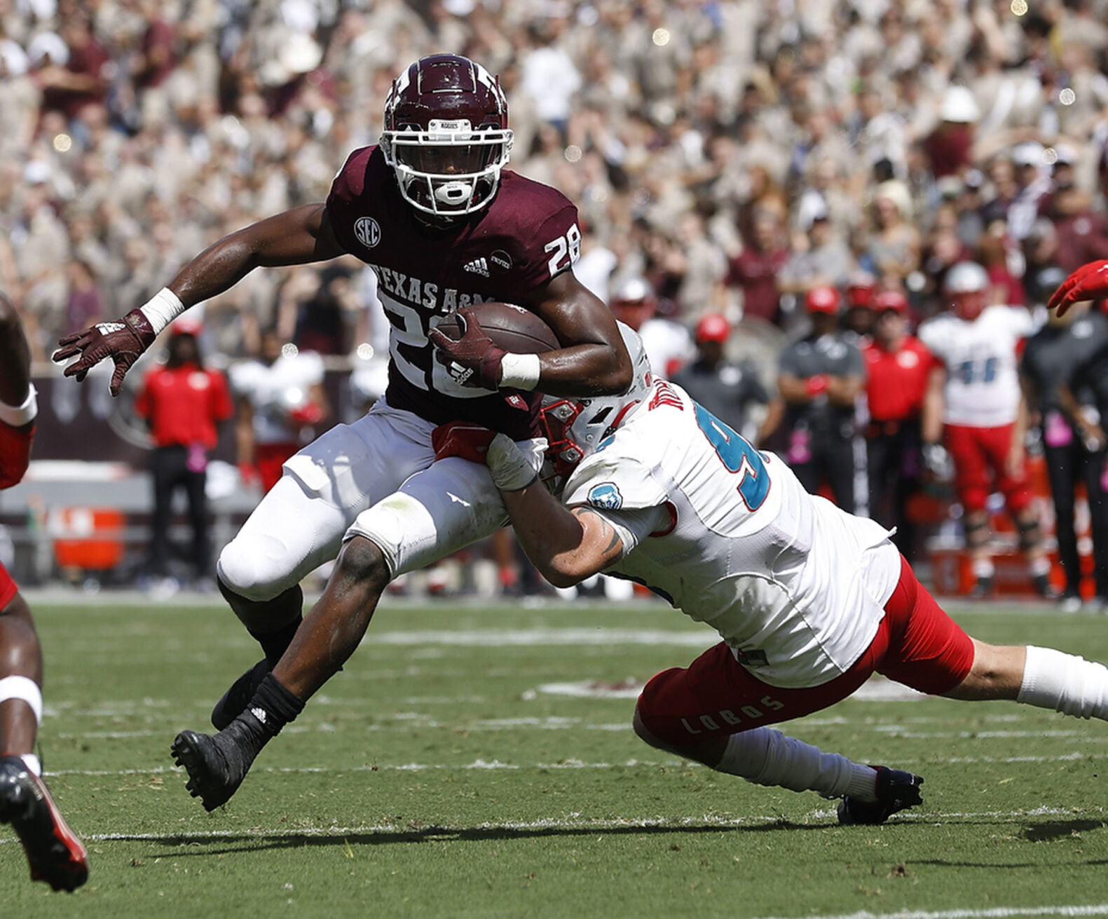 Texas A&M vs New Mexico
